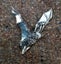 Swooping Bat Carousel 1