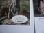 Sir David Attenborough stunning signed Photograph + Authentication Carousel 8