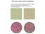 Colour Blind Correction Glasses Carousel 5