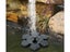 Solar Fountain NZ Clearance Carousel 3