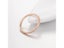 Classic Simple Matte Narrow/Wide Ring Titanium Steel For Women Trendy Tail Ring Carousel 7