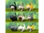 Cute Cat Series Ornaments For Home Decoration Mini Funny Animal Craft Figurine Carousel 5