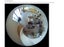 Reolink FE-W 6MP/2K+ 180° Fisheye Indoor Wi-Fi Camera Carousel 7