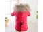 Small Dog Jacket Windproof Warm Padded Down Hoodie Snowsuit For Winter Dogs Carousel 4