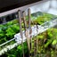 Aquarium Tools Set Scissor Tweezers Plants Wave Scissors Grass Stainless CHK29M Carousel 11