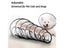Dog Travel Seat Belt Carousel 2