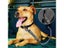 Dog Seatbelt Updated 3-in-1 Pet Car Seat Belts For Dogs Car Tether With Clip Carousel 5