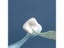 Baby Kids Toothbrushes Ultra Soft Brush Toothbrush High Quality Children Carousel 5