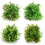 Plastic Artificial Shrubs Artificial Plant Flower Greenery For House Outd CHK29M Carousel 11