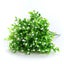 Plastic Artificial Shrubs Artificial Plant Flower Greenery For House Outd CHK29M Carousel 1
