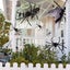 1Pcs Halloween Spider Decorations, Realistic Hairy Spiders , Scary Spider CHK29M Carousel 10