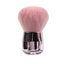 1PCS Professionals Nails Art Mushroom Brush Round Paint Gel Dust Cleaning CHK29M Carousel 2
