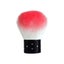 1PCS Professionals Nails Art Mushroom Brush Round Paint Gel Dust Cleaning CHK29M Carousel 1