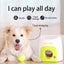 Pet Ball Leakage of Food Toy Dog Tennis Food Reward Machine Interactive T CHK29M Carousel 4