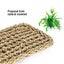 Reptile Hammock Terrarium Decoration For Lizard Lounger Small Hermit Crab CHK29M Carousel 9