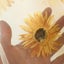 Sun Flower Tulle Curtains for Living Room Bedroom Kitchen Yellow Floral V CHK29M Carousel 8