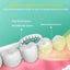 Sonic Electric Toothbrush Cleaning Brush For Adult Automatic Rechargeable CHK29M Carousel 11