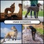Waterproof Dog Boots Durable Anti Slip Pet Shoes with Reflective Straps Carousel 3