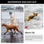 Waterproof Dog Boots Durable Anti Slip Pet Shoes with Reflective Straps Carousel 6