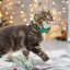 Christmas Cat Collar Breakaway Kitten Collar With Bell Adjustable Snowfla CHK29M Carousel 6