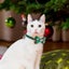 Christmas Cat Collar Breakaway Kitten Collar With Bell Adjustable Snowfla CHK29M Carousel 7