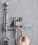 Gun Grey Mini Toilet Companion Head Toilet Rinser Women's Washers High Pr CHK29M Carousel 7