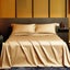 Summer Luxury Satin Silk-like Bed Sheet Set (Flat Sheet + Fitted Sheet + CHK29M Carousel 12