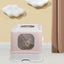 Cat Litter Box Fully Enclosed Kitty Coffee Carousel 8