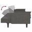 2-seater Sofa Bed with Two Pillows Dark Grey Fabric Tipnta Carousel 8