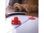 Plastic Air Hockey Set Lightweight Anti Rust Anti-deformation Hockey Puck Set Carousel 4