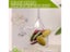 10cm Pentagram Hexagonal Star Clear Plastic 3D Bath Bomb Mold Xmas DIY Bath Carousel 4