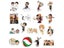 10 50 100pcs/Pack Japan Anime Cartoon Anime Haikyuu Stickers Aesthetic Laptop Carousel 6
