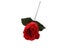 Torch To Flower - Torch To Rose - Fire Magic Trick Flame Appearing Flower Prop Carousel 5