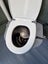 P.F.S Toilet Facility - Composting Toilet. Portable Bathroom. Carousel 8