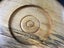 Kemp Lenihan Signed New Zealand Spalted Walnut Large Bowl - Lot K981 Carousel 7