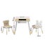 3pcs Kids Table and Chairs Set Activity Desk Chalkboard Toy Hidden Storage Carousel 2