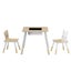 3pcs Kids Table and Chairs Set Activity Desk Chalkboard Toy Hidden Storage Carousel 3