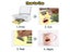 10 Sheets A4 Gold Vinyl Sticker Paper Printable Self Adhesive Carousel 6
