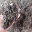 Compost (1 cubic Metre) Carousel 1