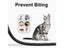 2Meters Spiral Cable Protector Line Organizer Tube Motorcycle Wire Protection Carousel 5