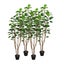 SOGA 4X Plastic Potted Polyscias Scutellaria Plant Home Garden Artificial Tre... Carousel 1