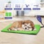 Heated Dog Bed 40 x 30cm Carousel 2
