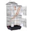 Bird Cage Bird Cage Carousel 3
