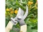 Stainless Steel Scissors For Flower Arrangement Garden Branch Cutting Carousel 7