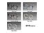 Acetate Titanium Glasses Frame Men Vintage Oversize Pilot New Vintage Retro Carousel 6