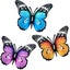 Loading Image 1 of 2