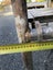 Aluminium Folding Mobile Scaffold Carousel 9