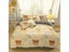Solid Color Velvet Duvet Cover For Household Winter Warmth Thick Bedding Set Carousel 4