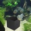 Eco-Aquarium Water Purifier Cube Water Clean Filter Activated Carbon Tool Block Carousel 8