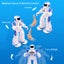 Smart RC Robot Toy Talking Dancing Gesture Sensing Programmable Robots for Kids Carousel 3